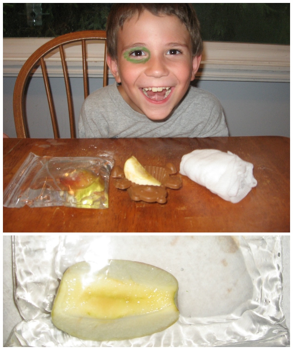 Apple Mummy Experiment for our Ancient Egypt Unit from Walking by the Way