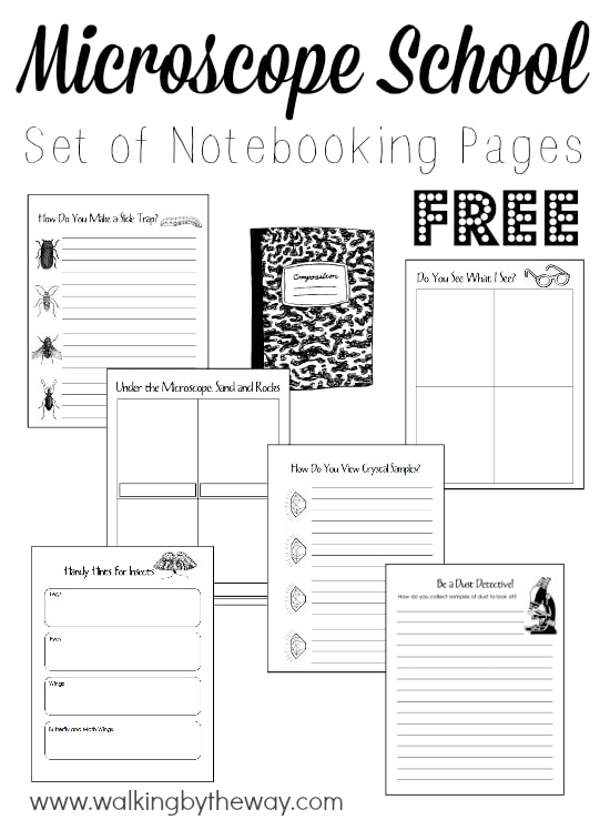 Free Set of 28 Notebooking Pages for Learning about Microscopes from Walking by the Way