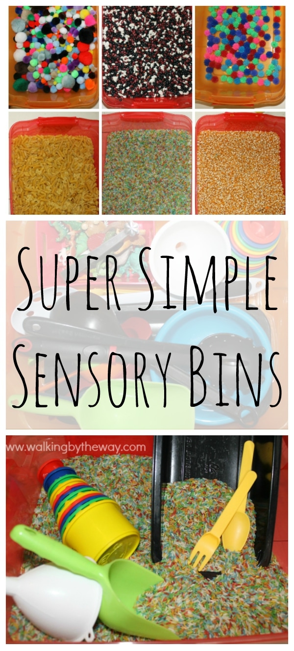 Super Simple Sensory Bins from Walking by the Way