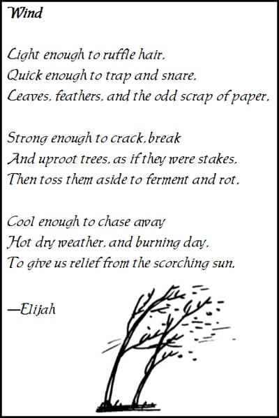 Delight Directed Education 7th Grade: Poem