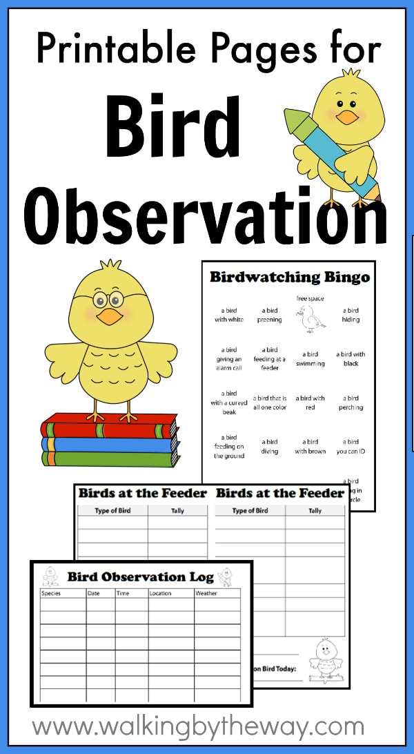 Printable Pages for Bird Observation from Walking by the Way