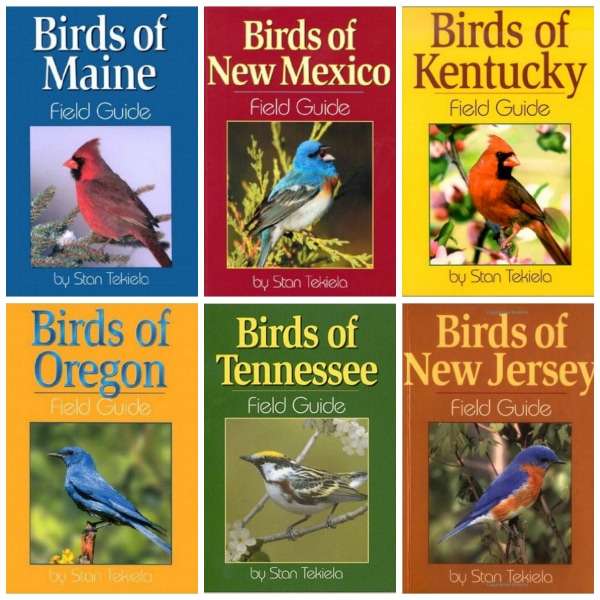 Best Birding Books (color-coded) for Children