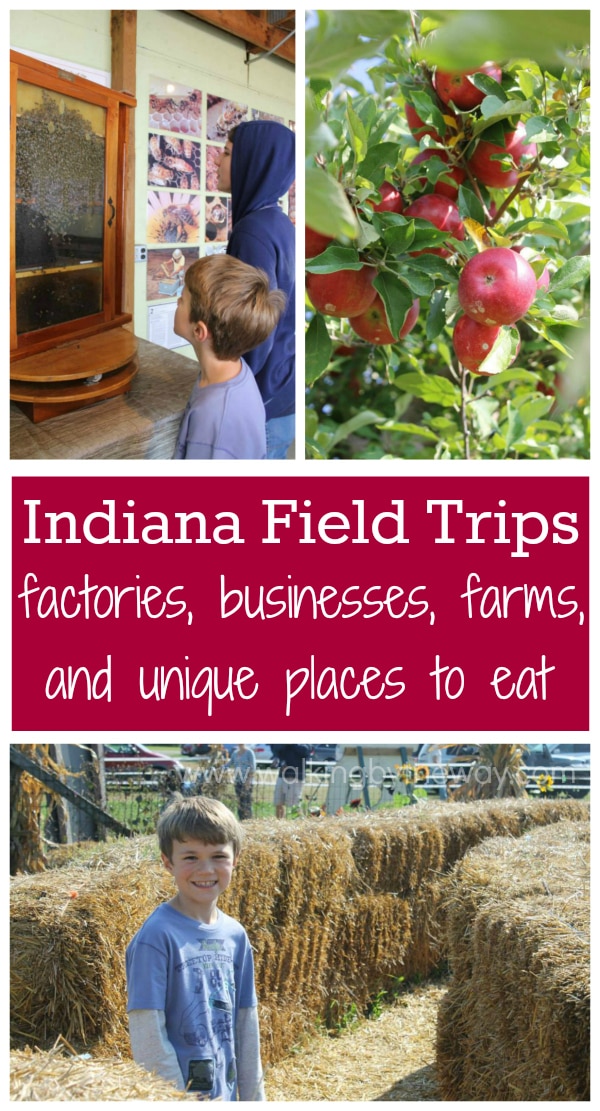 Indiana Field Trip Ideas: factory tours, business tours, farms, orchards, and unique places to eat! from Walking by the Way