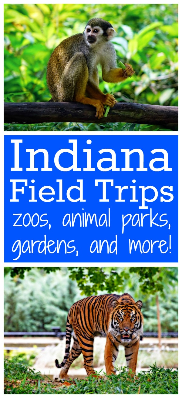 Indiana Field Trips: zoos, animal parks, gardens, and other fun things to do! from Walking by the Way