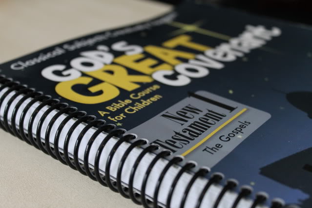 God's Great Covenant New Testament 1 ~ TOS Review - Walking by the Way
