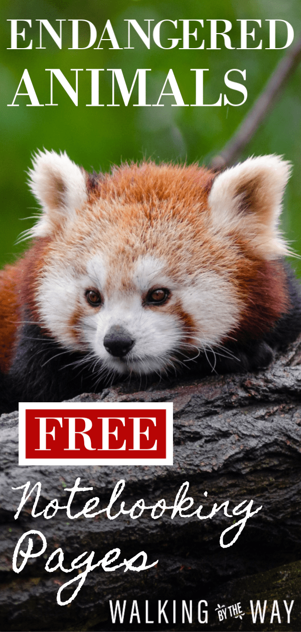 Download Free Endangered Animals Notebooking Pages - Walking by the Way Download Free Endangered Animals Notebooking Pages - Walking by the Way