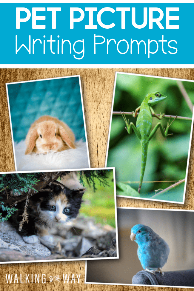 Encourage Writing with Pet Picture Writing Prompts - Walking by the Way